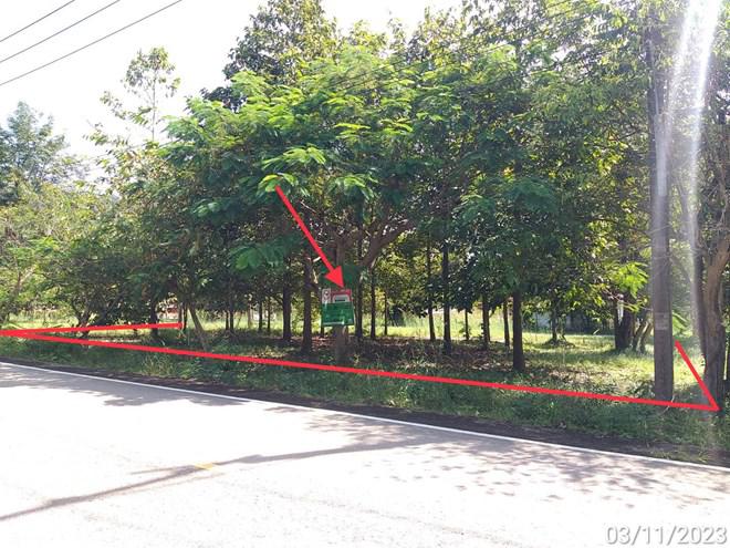ที่ดินว่างเปล่าหลุดจำนอง ธ.ธนาคารกสิกรไทย ปราจีนบุรี กบินทร์บุรี นนทรี