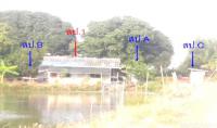 บ้านเดี่ยวหลุดจำนอง ธ.ธนาคารกสิกรไทย ปราจีนบุรี บ้านสร้าง บางพลวง